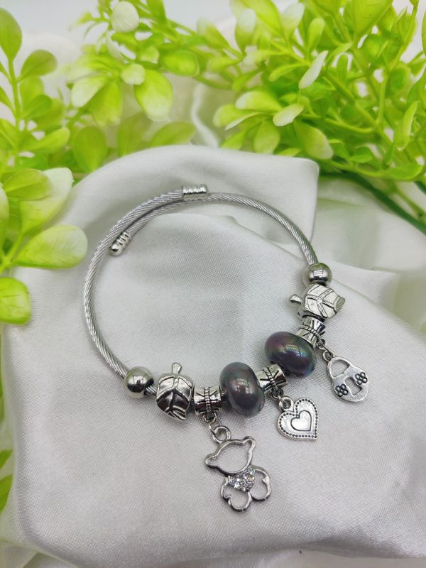 Imported Pandora Charm Bracelet