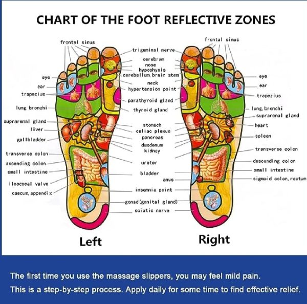 Blueidea Acupressure Massage Slippers For Sugar Patients