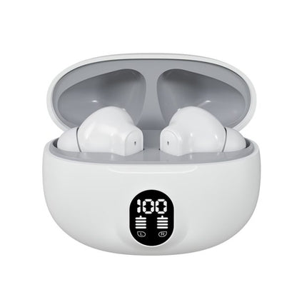 Professional Display Earbuds Stereo 895b